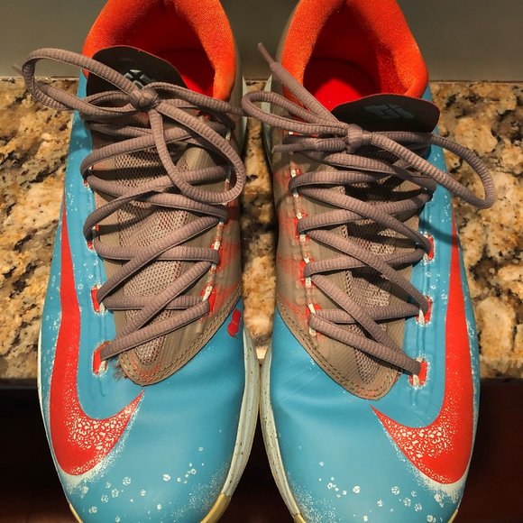kd 6 blue crab